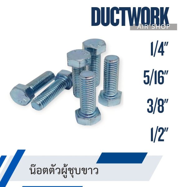 น็อตตัวผู้ชุบขาว