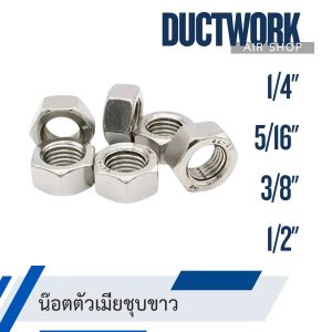 น็อตตัวเมีย